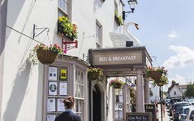 The Swan